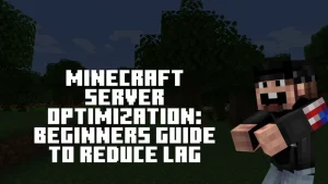 Minecraft Server Optimization Beginners guide to reduce lag