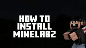 How to Install MineLabz