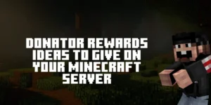 Donator Rewards Ideas to Give on Your Minecraft Server