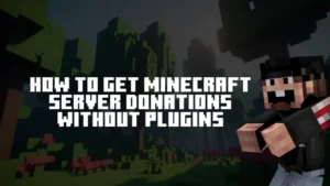 How to Get Minecraft Server Donations Without Plugins