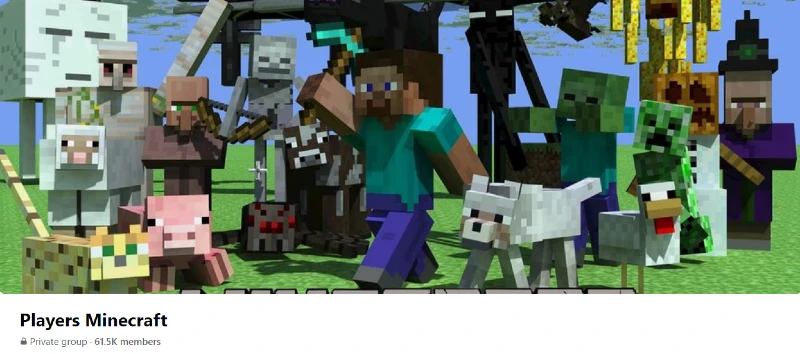 Players Minecraft