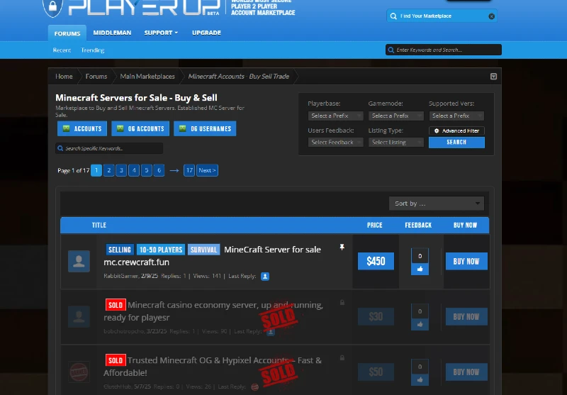 PlayerUp Sell a Minecraft Server